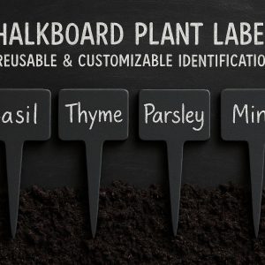 Chalkboard Plant Labels - Reusable & Customizable Identification